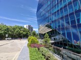 Daylight samples, main camera (1x) - 23mm, f/1.6, ISO 50, 1/2100s (4096x3072px) - Honor Magic V6 review