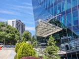 Daylight samples, main camera (2x) - 46mm, f/1.6, ISO 50, 1/2500s (4096x3072px) - Honor Magic V6 review
