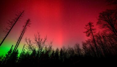 ‘Strong’ Northern Lights Alert This Weekend: 25 States May See Aurora