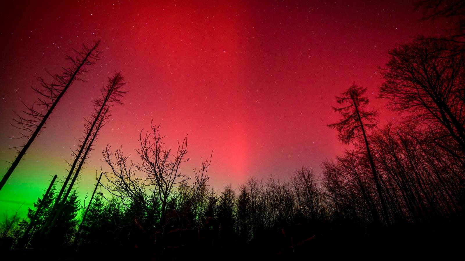 ‘Strong’ Northern Lights Alert This Weekend: 25 States May See Aurora