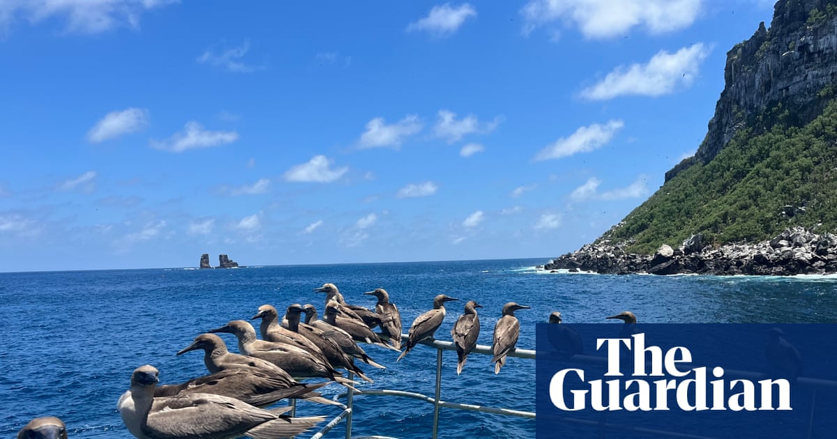 The underwater wonders I saw on my once-in-a-lifetime trip to the Galápagos | Environment