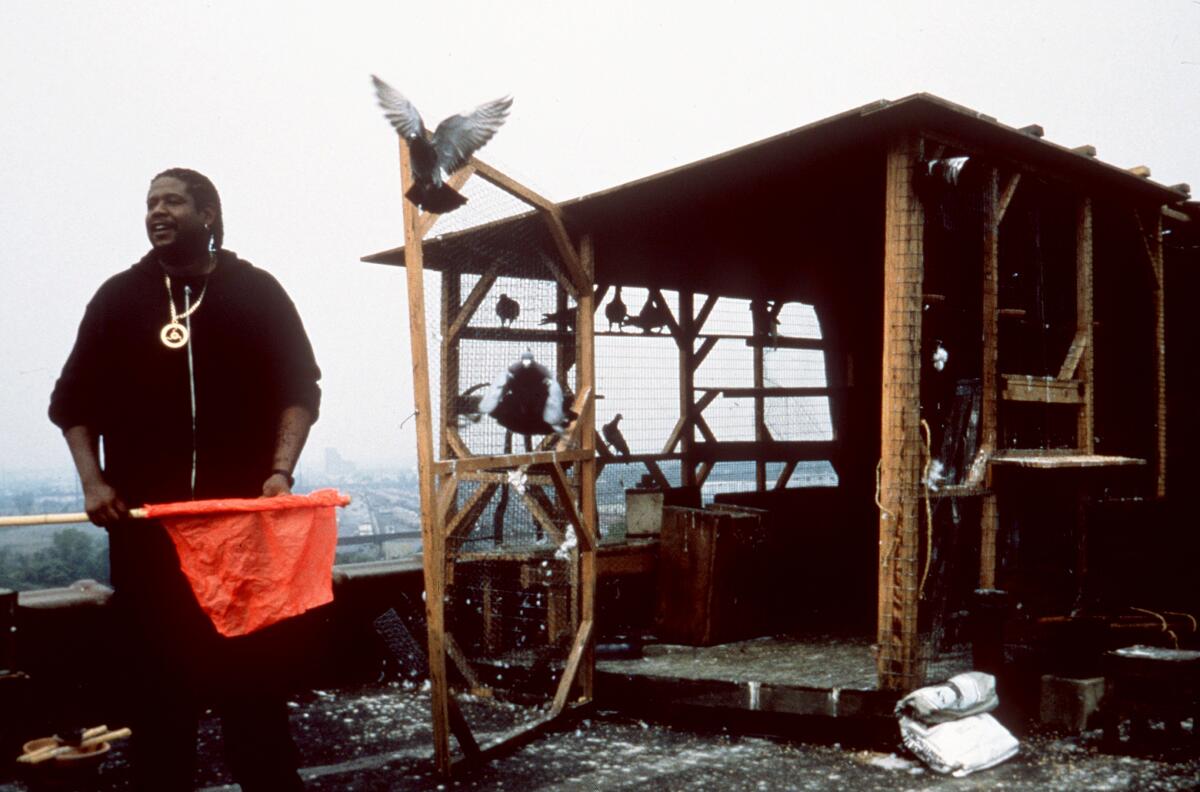 A man releases pigeons on a rooftop.