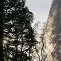 Fondation Beyeler to Open Expanded Campus by Peter Zumthor in 2027 - Image 5 of 7