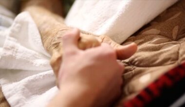 Red flag or red herring? The numbers behind assisted dying in the Netherlands