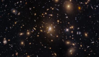 Hubble Sees Swarm of Galaxies