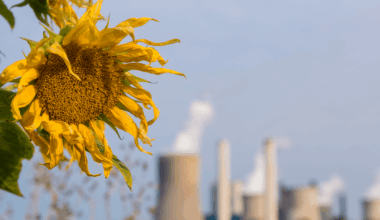 Nature No Longer Smells So Natural—and That’s Our Fault – Mother Jones