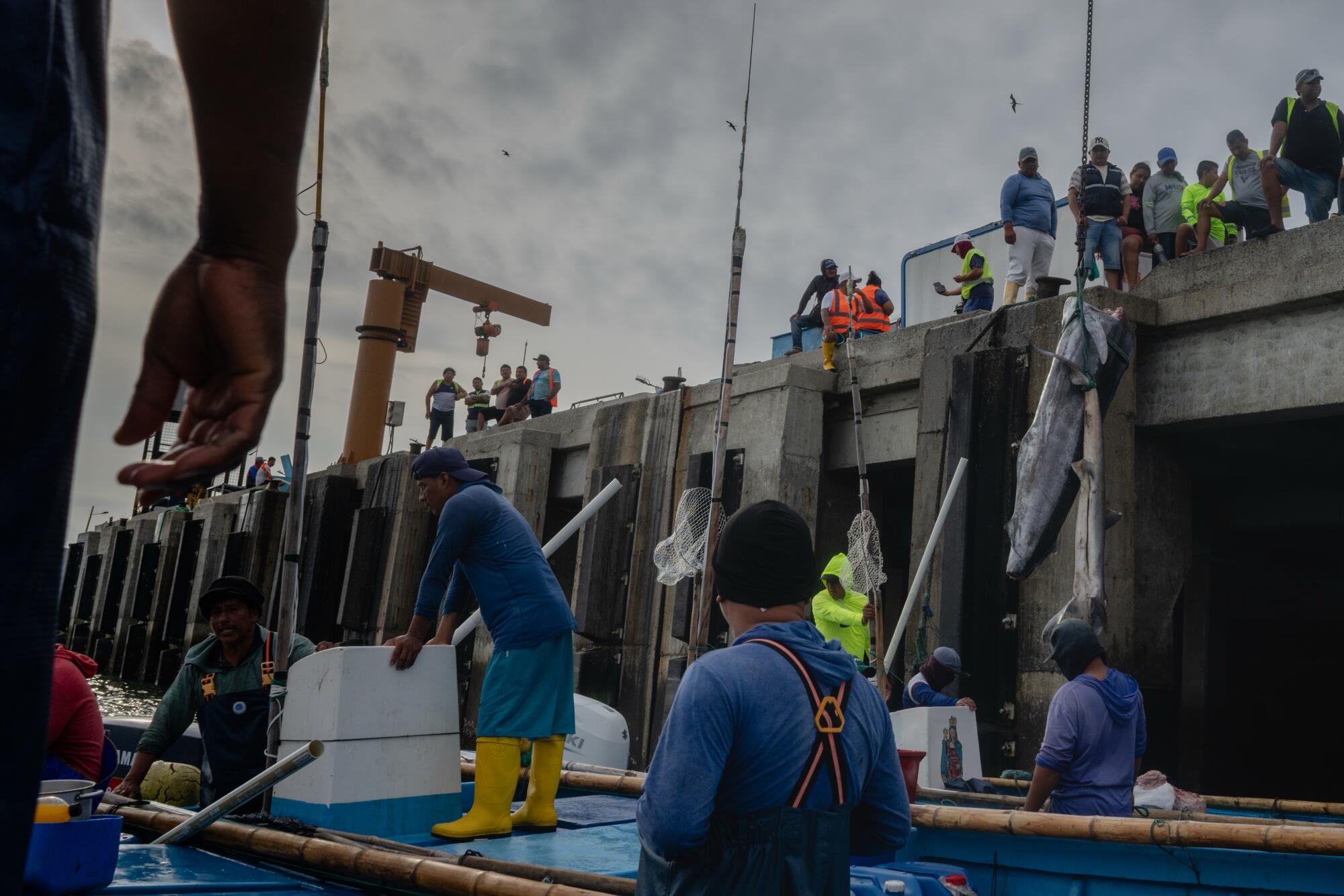 Fishermen return to the port of San Mateo, Ecuador, after a day at sea, transporting their catch to shore 