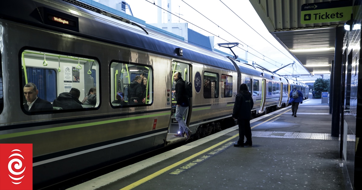 Trains cancelled between Wellington and Porirua as person runs onto tracks
