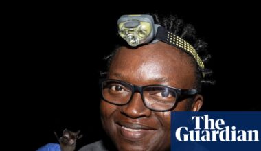 The bat that weighs the same as a teaspoon of salt – and the biologist who rediscovered it | Nigeria