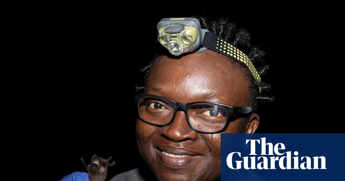 The bat that weighs the same as a teaspoon of salt – and the biologist who rediscovered it | Nigeria