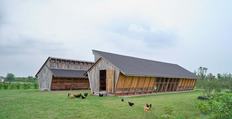 Designing for Chickens: Rethinking How Humans and Animals Share Space - Image 8 of 50