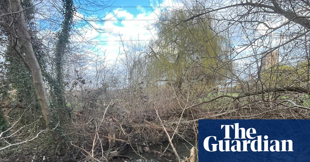 Campaigner threatened with prosecution by Environment Agency after waterway cleanup | Rivers