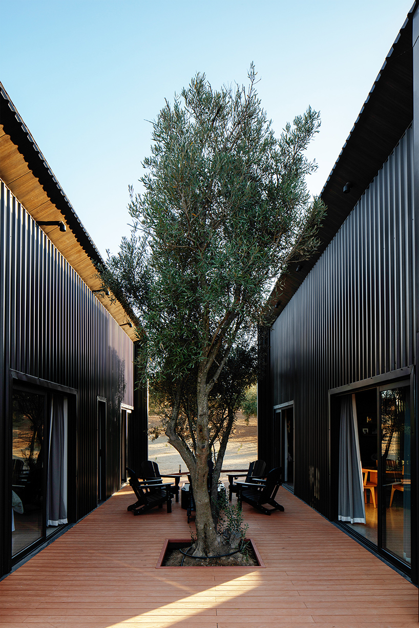 two corrugated metal volumes shelter courtyard retreat in mexico's desert landscape - 4