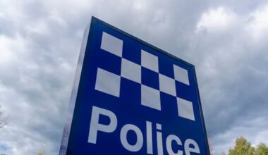 Mother's horror as two children die in Sydney pram crash