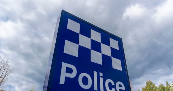 Mother's horror as two children die in Sydney pram crash