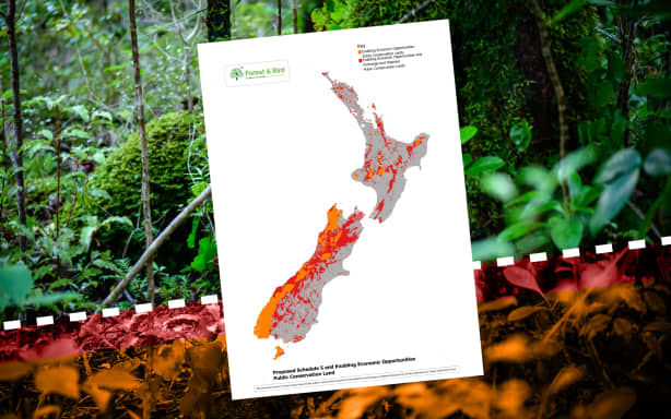 Map of NZ and Northland.