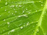 Main camera 2x zoom - 52mm, f/1.5, ISO 80, 1/190s (4096x3072px) - Xiaomi Redmi Turbo 5 hands-on review