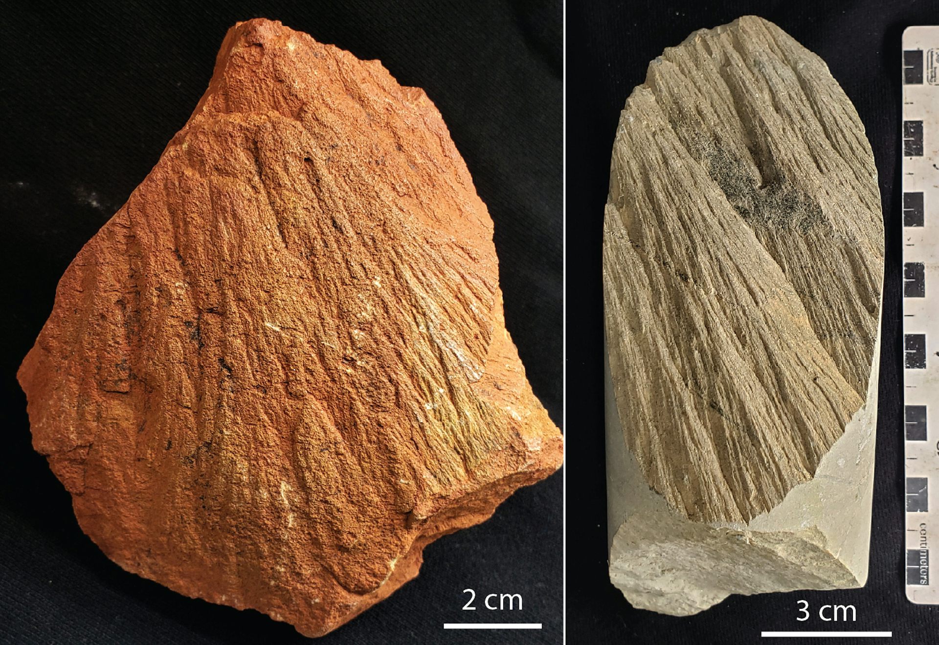 Two rock samples photographed against a black background. Left: a reddish-orange, roughly triangular rock fragment with pronounced linear striations or grooves across its surface, with a 2 cm scale bar. Right: a pale grey elongated rock sample displaying strong parallel fibrous or foliated texture, with a dark inclusion near the top and a quartz vein at the base, with a 3 cm scale bar.
