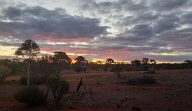 A meteorite impact may have once rained gold on Western Australia