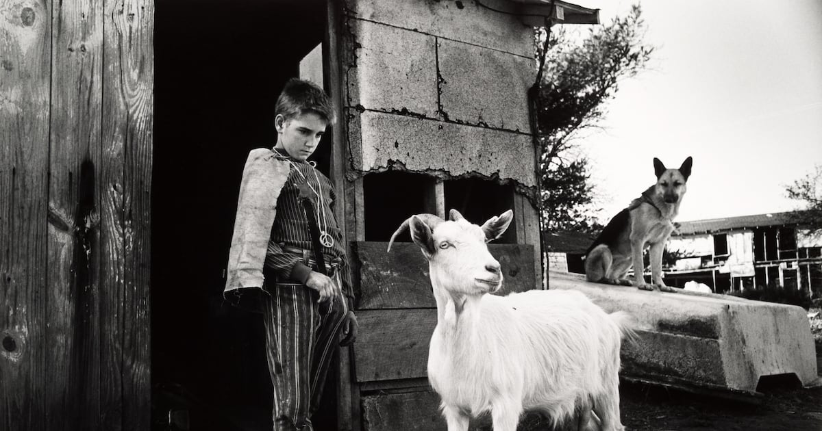 Some Central NY museums allow visits to view hidden artwork in storage collections – This is CNY