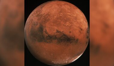Man vs machine: Who will walk on Mars first?