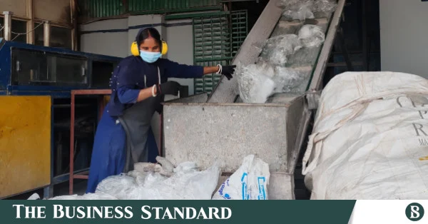 From waste to wealth: How plastic circular economy grows despite policy lags