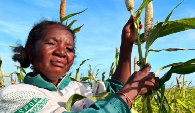 Climate shocks accelerating as El Niño threat looms over already vulnerable regions