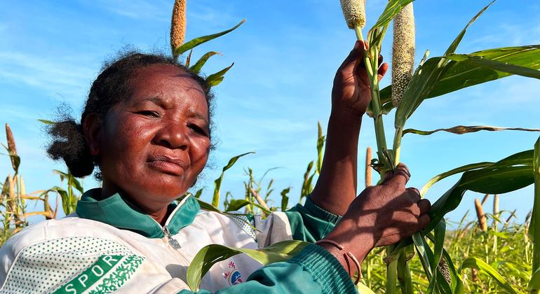 Climate shocks accelerating as El Niño threat looms over already vulnerable regions