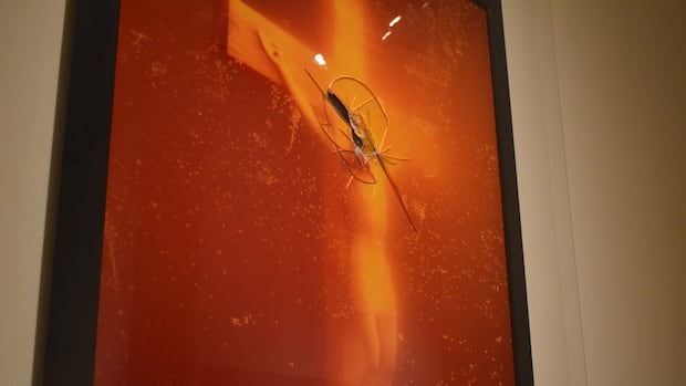 N.B. gallery aims to spark debate with photo of urine-soaked crucifix
