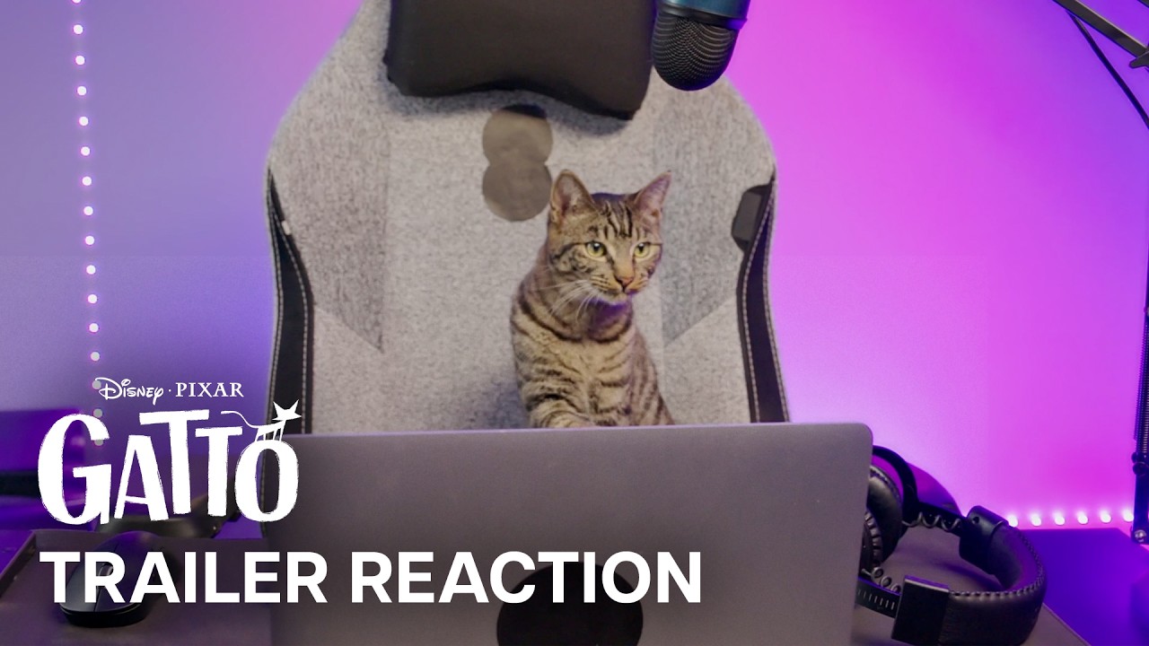 REAL CATS REACT to Pixar's Trailer for Gatto - YouTube