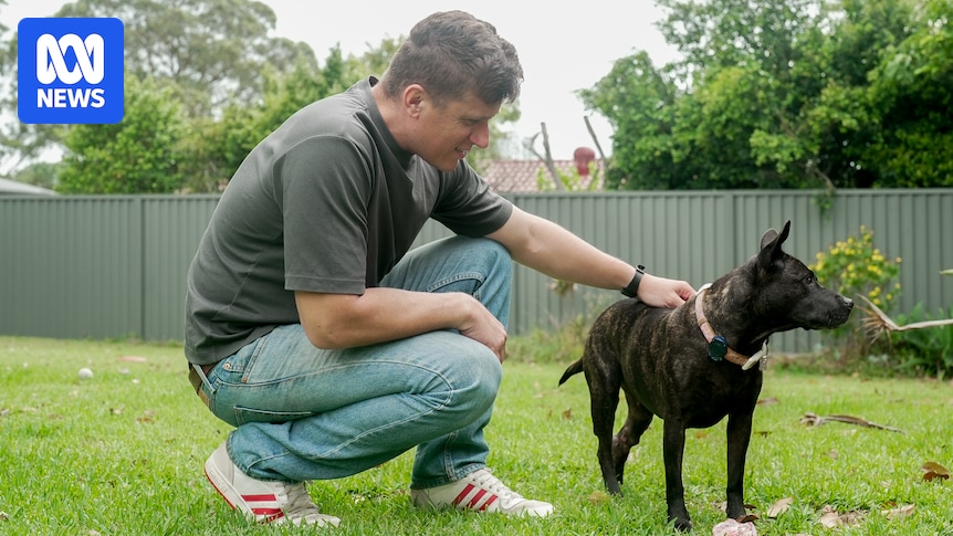 AI designs cancer vaccine for dog but scientists says red tape a barrier for human care
