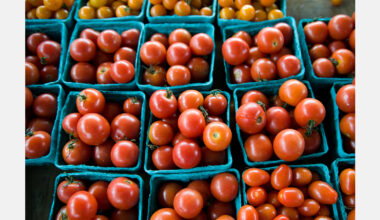 Higher tomato prices drive Canada's produce inflation