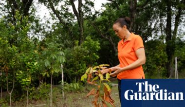 ‘People shouldn’t expect there will be water in their taps every day’: why is St Lucia running out of water? | Water