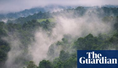 Papua New Guinea at risk of food shortages as El Niño brings frost and drought | Papua New Guinea