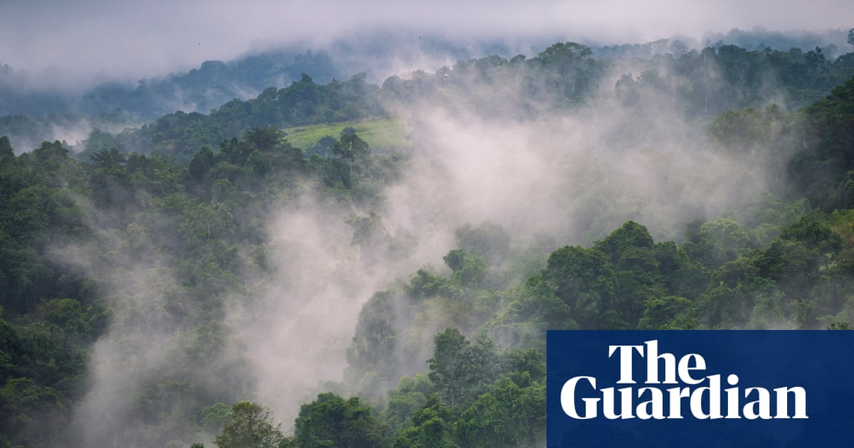 Papua New Guinea at risk of food shortages as El Niño brings frost and drought | Papua New Guinea