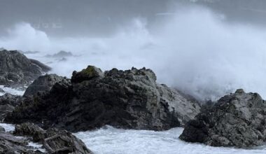 Around 200 flights cancelled, winds hammer Wellington region