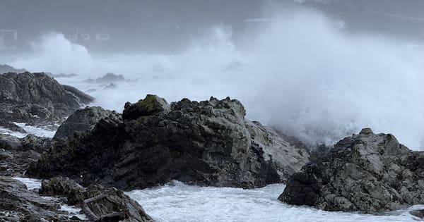 Around 200 flights cancelled, winds hammer Wellington region