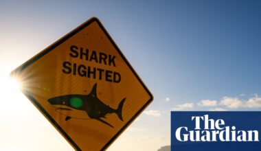 Shark bites are down globally – so why are they going up in Australia? It’s complicated | Environment