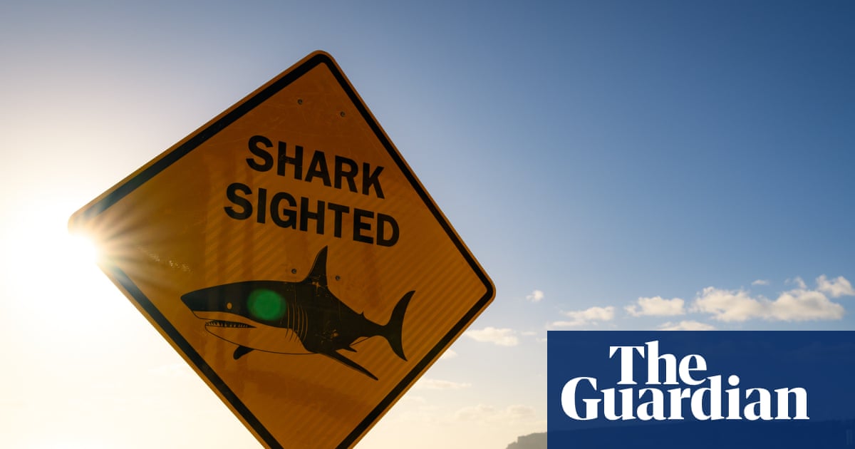 Shark bites are down globally – so why are they going up in Australia? It’s complicated | Environment