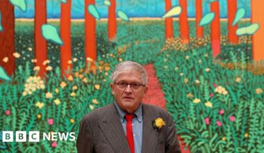 Can East Yorkshire capitalise on David Hockney's Wolds legacy? - BBC