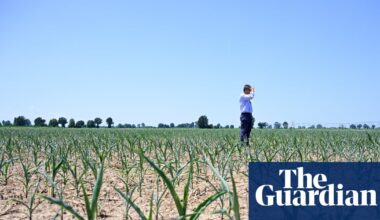 Europe heatwave shows need to reject climate denial ‘lies’, says EU green chief | Climate crisis