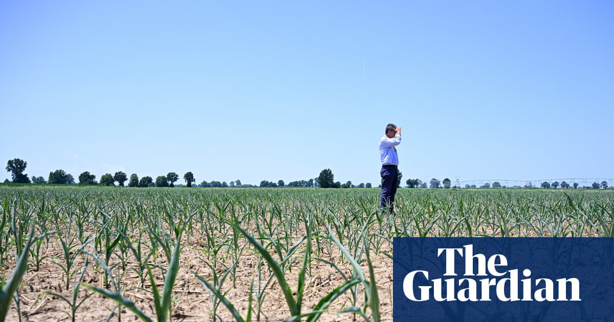 Europe heatwave shows need to reject climate denial ‘lies’, says EU green chief | Climate crisis