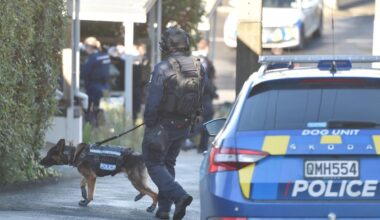 Armed police swarm Dunedin's Maitland St