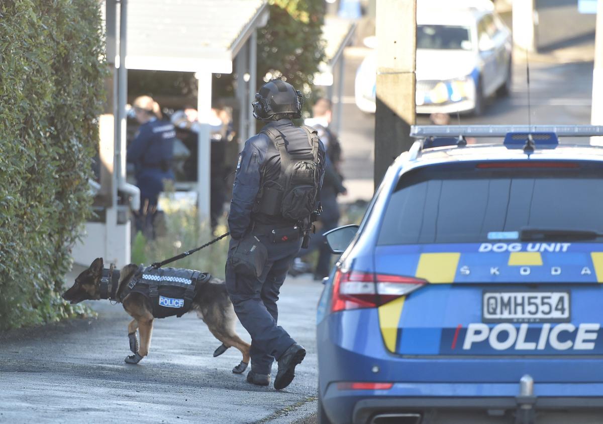 Armed police swarm Dunedin's Maitland St