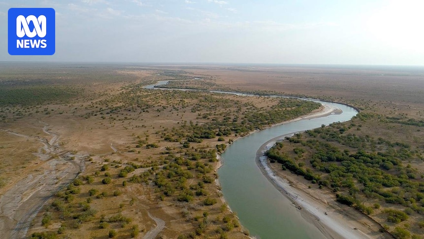 The controversial $1m Fitzroy River plan is closing for consultation. What is it?