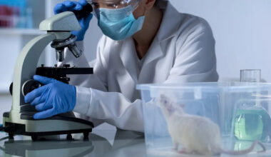 'Everyone on Earth is exposed': Scientists map microplastics deep inside living tissue