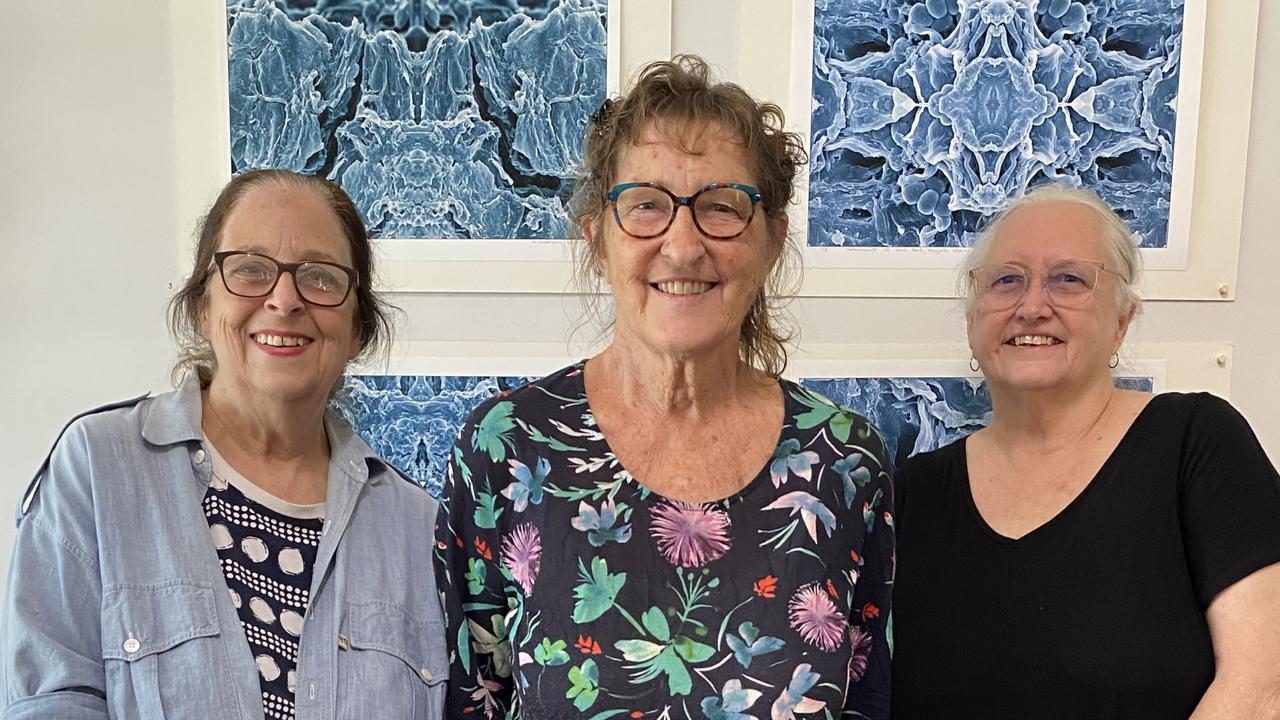 Townsville artists expose hidden habitats in new Kaleidoscope show at Gallery 48