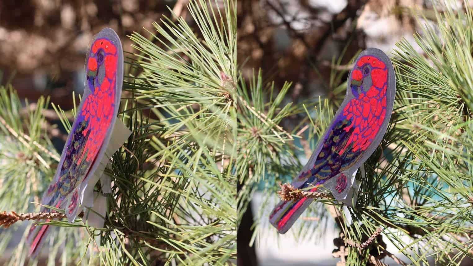 Photonic glasses deliver angle-independent structural colour, including reds – Physics World