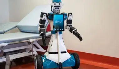 ‘Alter-Ego’: an Italian hospital’s little robot carer - World