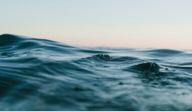 China Is Taking Its AI Boom Under the Sea